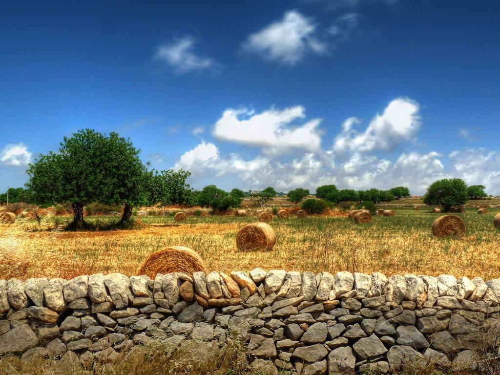 Trulli Resort Monte Pasubio Trulli Bbalberobellocom Dış mekan fotoğraf